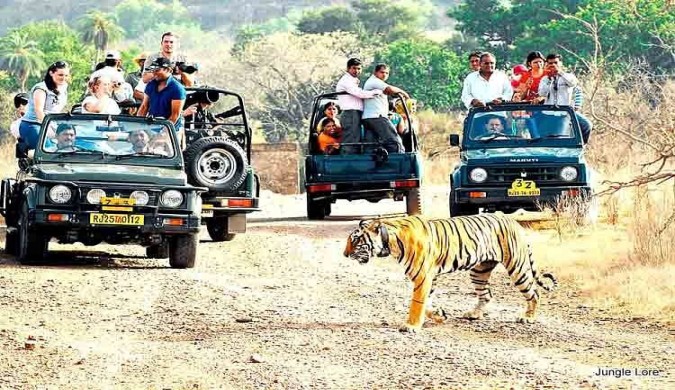 Jaipur to Ranthambore taxi service 1